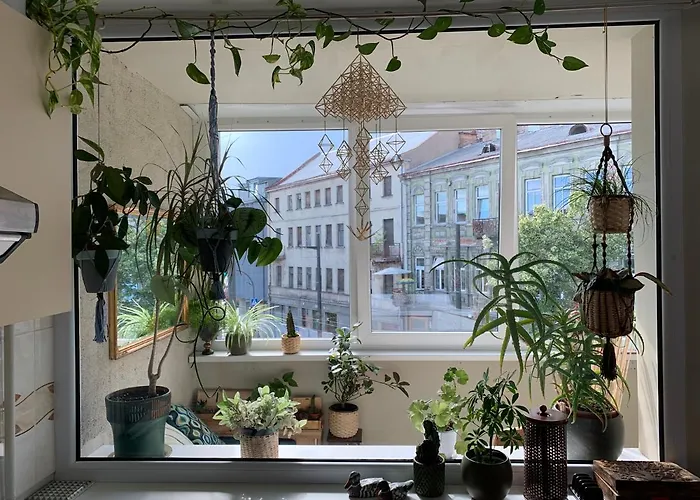 Three Bedroom With Two Terraces For 7People+Baby
