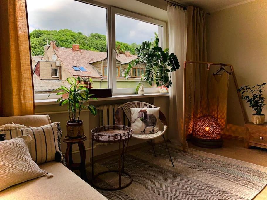 Huoneisto Three Bedroom With Two Terraces For 7people+baby *