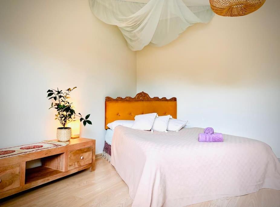 Three Bedroom With Two Terraces For 7people+baby * קובנה