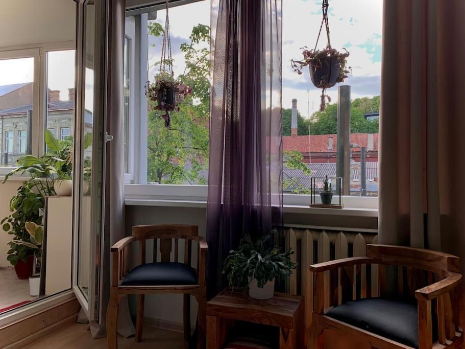 Three Bedroom With Two Terraces For 7people+baby Kaunas